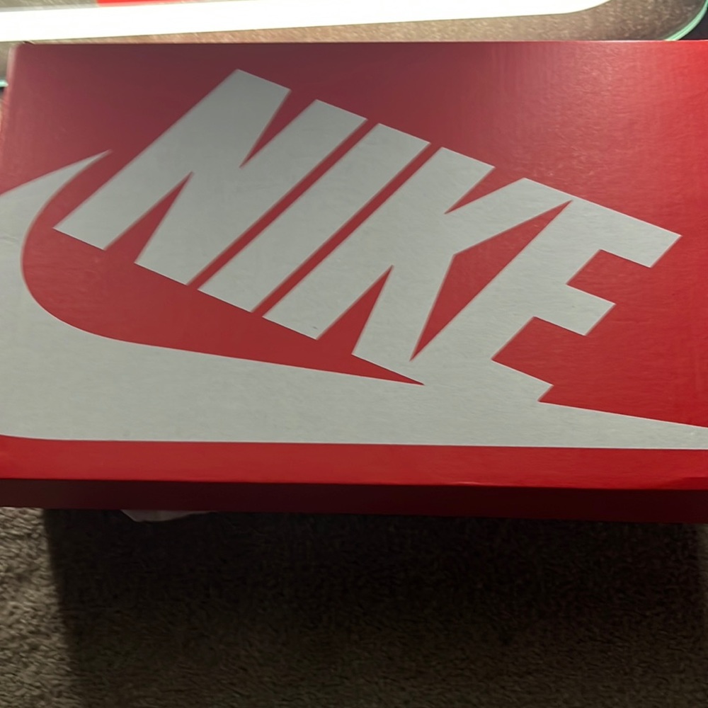 Mens Nike shoes never been worn size 9